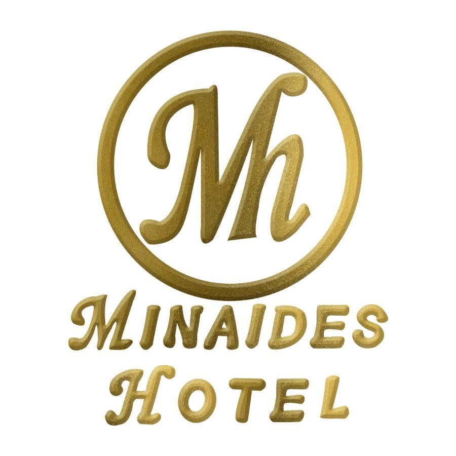 Minaides Hotel Kakopetria Exterior photo