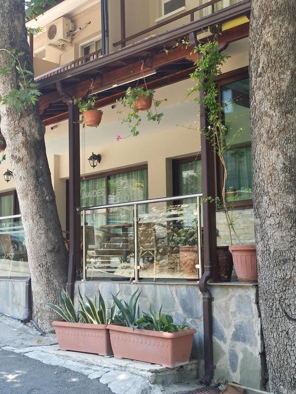 Minaides Hotel Kakopetria Exterior photo
